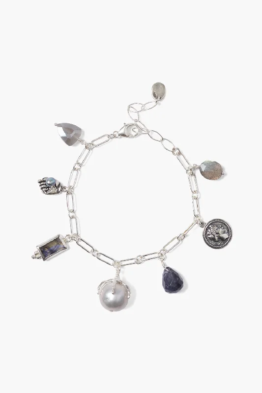 Dainty And Elegant Jewelry Now At Reduced Prices Casual Fashion Lark Charm Bracelet Silver Mix